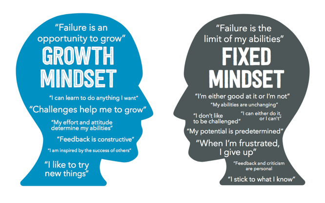 Growth and fixed mindset Bravo! Tutoring